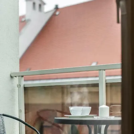 Panda Garbary 71 Poznań